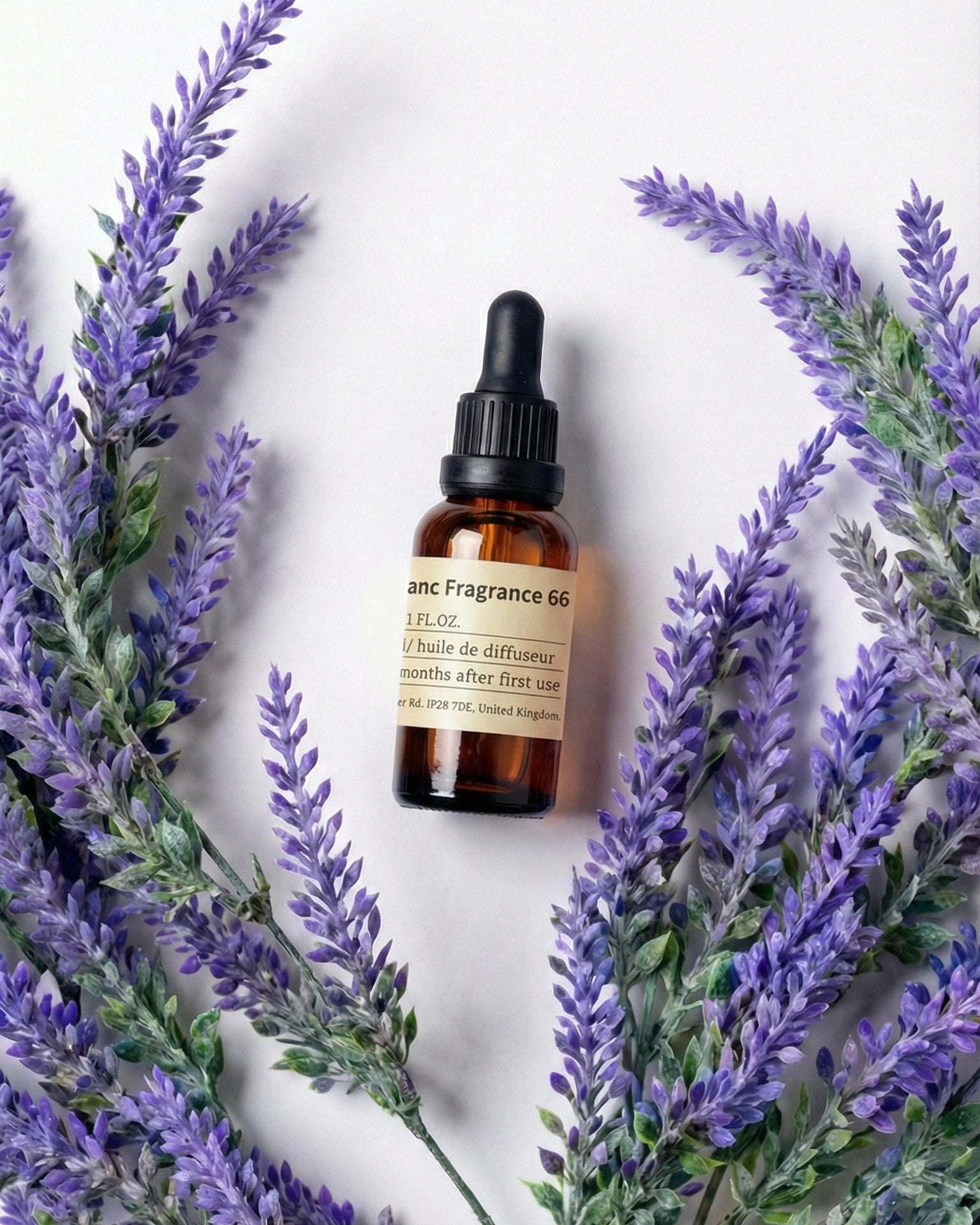 chavanc-aromo NO.66 Lavender de Provence essential oil bottle surrounded by vibrant purple lavender sprigs on a white background.