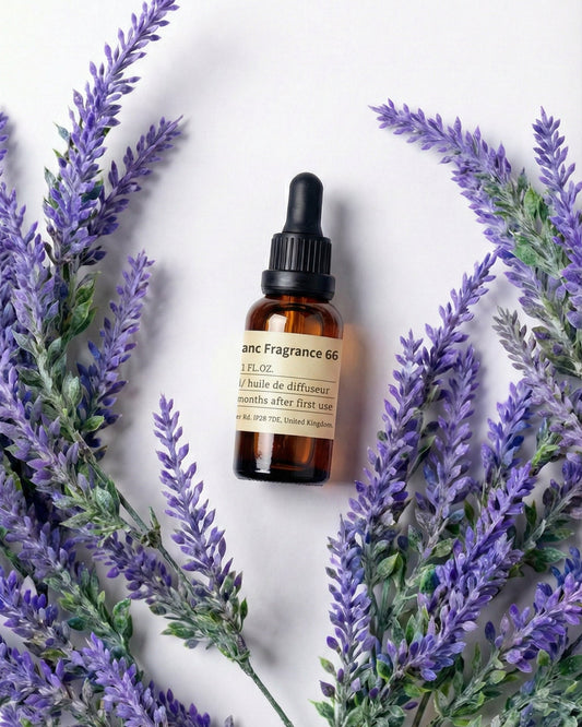 chavanc-aromo NO.66 Lavender de Provence essential oil bottle surrounded by vibrant purple lavender sprigs on a white background.